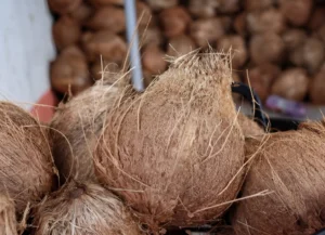 Prefer-Indian-Coconut-Suppliers